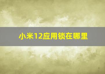 小米12应用锁在哪里