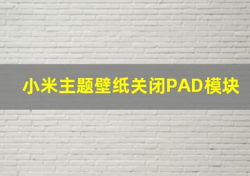 小米主题壁纸关闭PAD模块