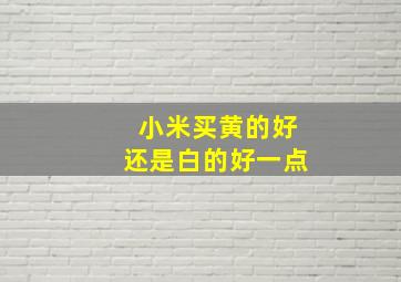 小米买黄的好还是白的好一点