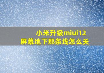 小米升级miui12屏幕地下那条线怎么关