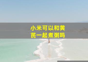 小米可以和黄芪一起煮粥吗