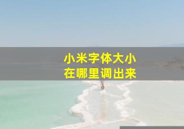 小米字体大小在哪里调出来