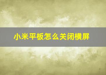 小米平板怎么关闭横屏