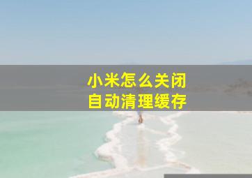 小米怎么关闭自动清理缓存