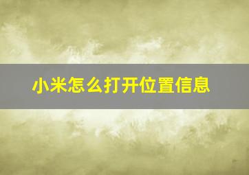 小米怎么打开位置信息