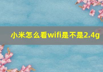 小米怎么看wifi是不是2.4g