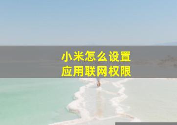 小米怎么设置应用联网权限