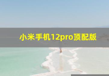 小米手机12pro顶配版