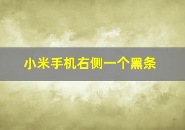 小米手机右侧一个黑条