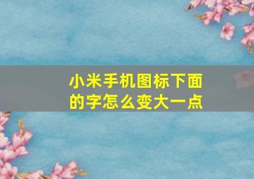 小米手机图标下面的字怎么变大一点