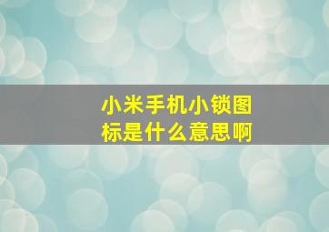 小米手机小锁图标是什么意思啊