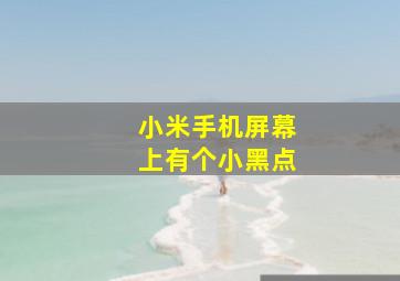 小米手机屏幕上有个小黑点