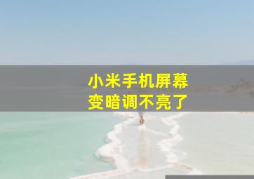 小米手机屏幕变暗调不亮了