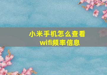 小米手机怎么查看wifi频率信息