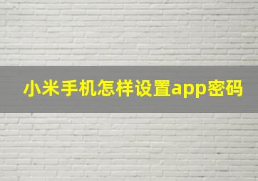 小米手机怎样设置app密码