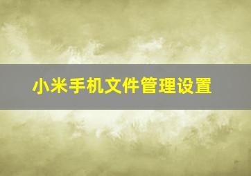 小米手机文件管理设置