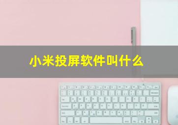 小米投屏软件叫什么