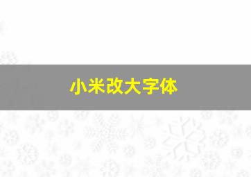 小米改大字体