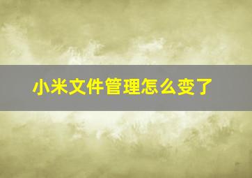 小米文件管理怎么变了