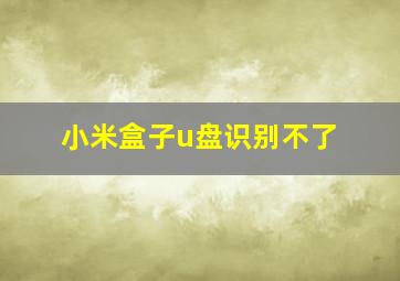 小米盒子u盘识别不了