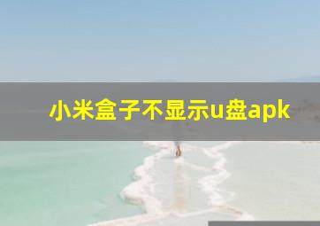 小米盒子不显示u盘apk