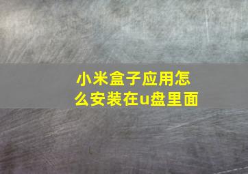 小米盒子应用怎么安装在u盘里面