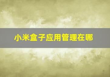 小米盒子应用管理在哪