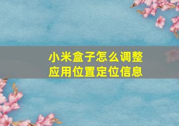 小米盒子怎么调整应用位置定位信息