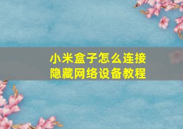 小米盒子怎么连接隐藏网络设备教程