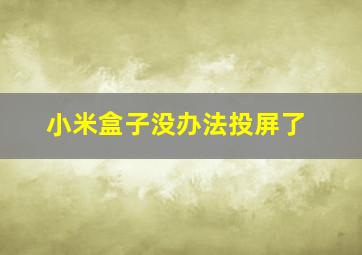 小米盒子没办法投屏了