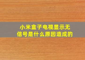 小米盒子电视显示无信号是什么原因造成的