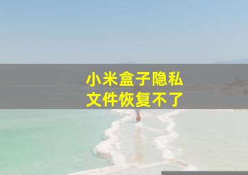 小米盒子隐私文件恢复不了