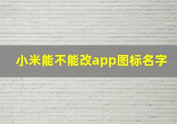 小米能不能改app图标名字