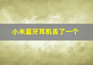 小米蓝牙耳机丢了一个