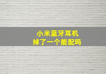 小米蓝牙耳机掉了一个能配吗