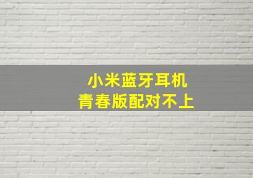 小米蓝牙耳机青春版配对不上