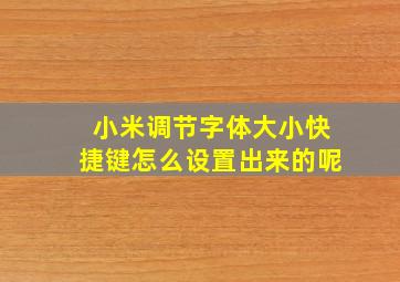 小米调节字体大小快捷键怎么设置出来的呢