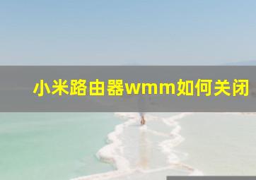 小米路由器wmm如何关闭