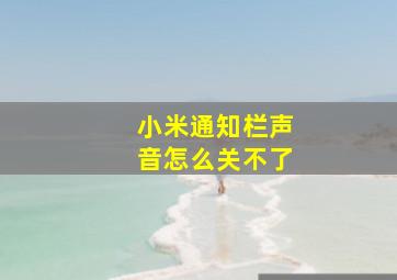 小米通知栏声音怎么关不了