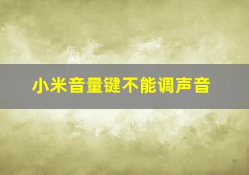 小米音量键不能调声音