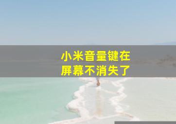 小米音量键在屏幕不消失了