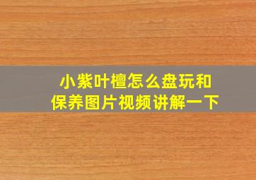 小紫叶檀怎么盘玩和保养图片视频讲解一下