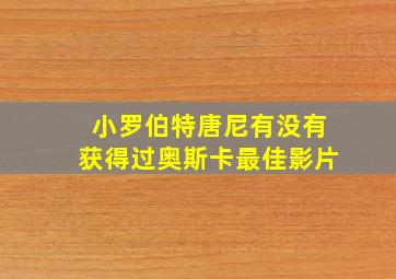 小罗伯特唐尼有没有获得过奥斯卡最佳影片