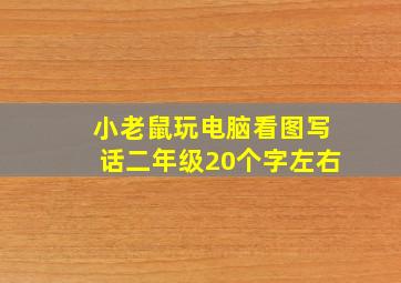 小老鼠玩电脑看图写话二年级20个字左右