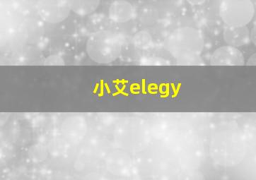 小艾elegy