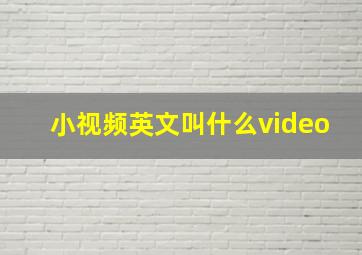 小视频英文叫什么video