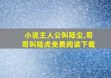 小说主人公叫陆尘,哥哥叫陆虎免费阅读下载