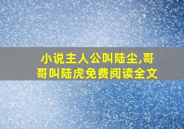 小说主人公叫陆尘,哥哥叫陆虎免费阅读全文