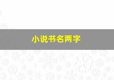 小说书名两字