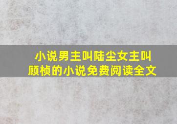 小说男主叫陆尘女主叫顾桢的小说免费阅读全文